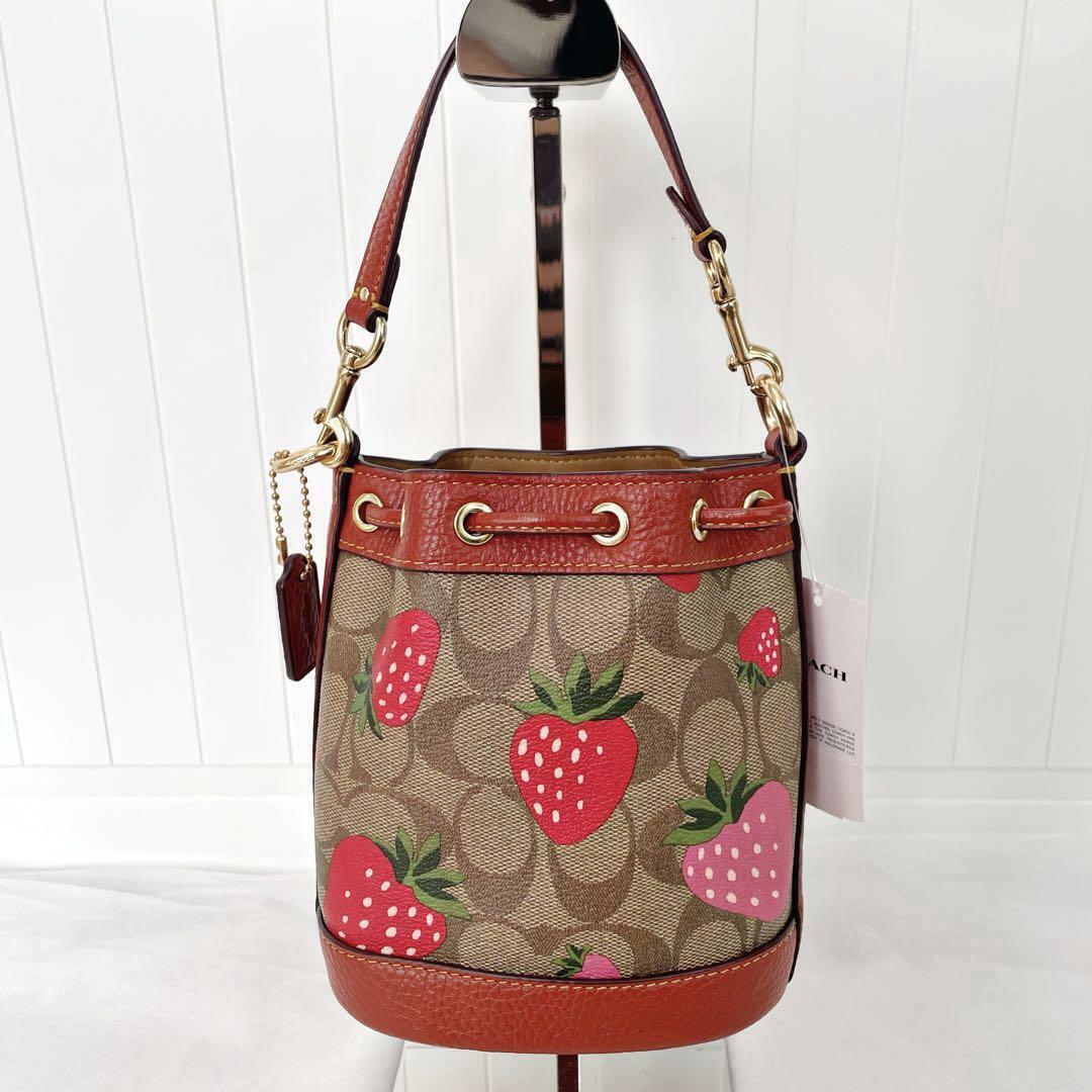 Coa Strawberry Bucket Bag