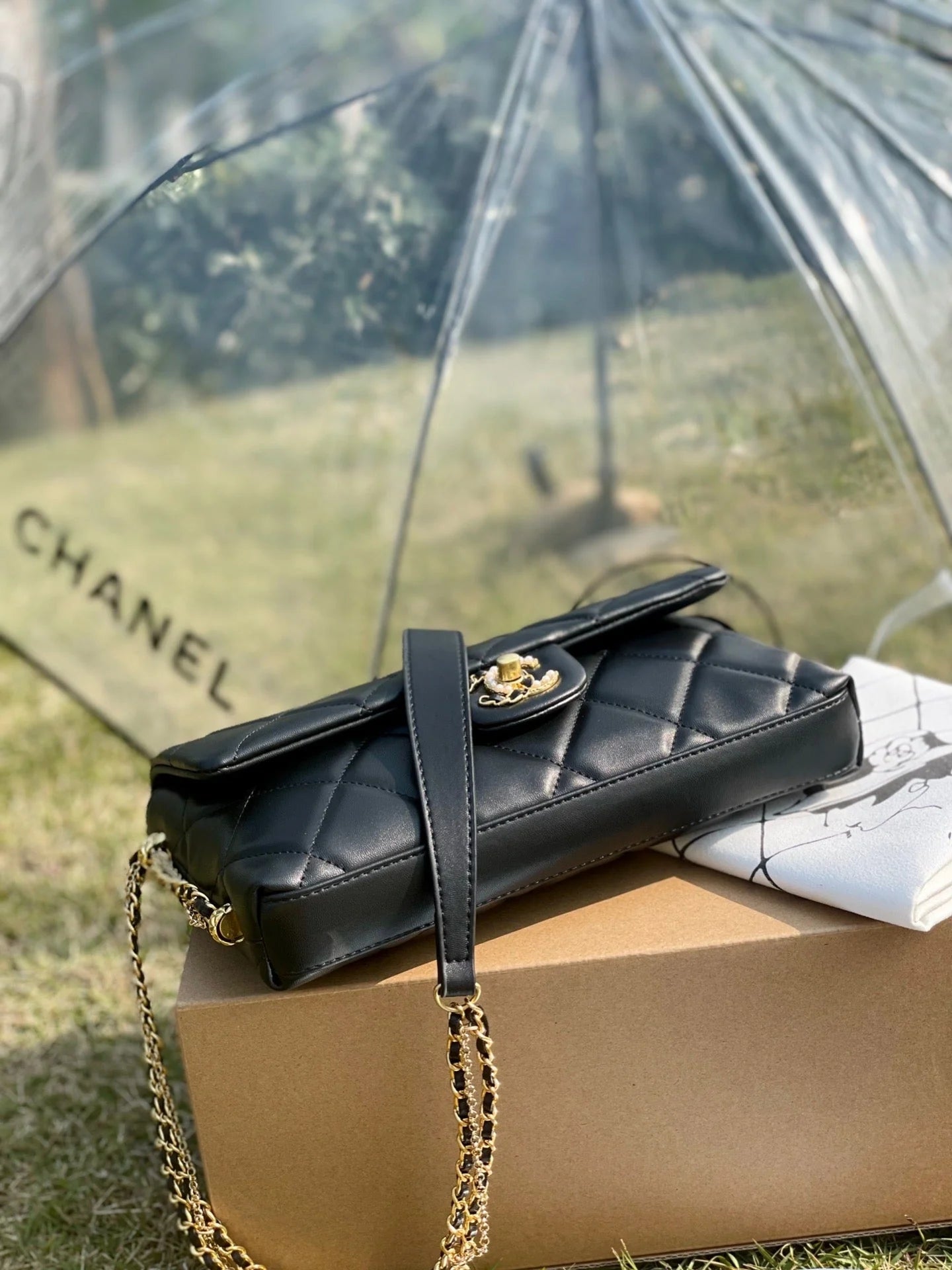 Chanel Flap Bag 25cm