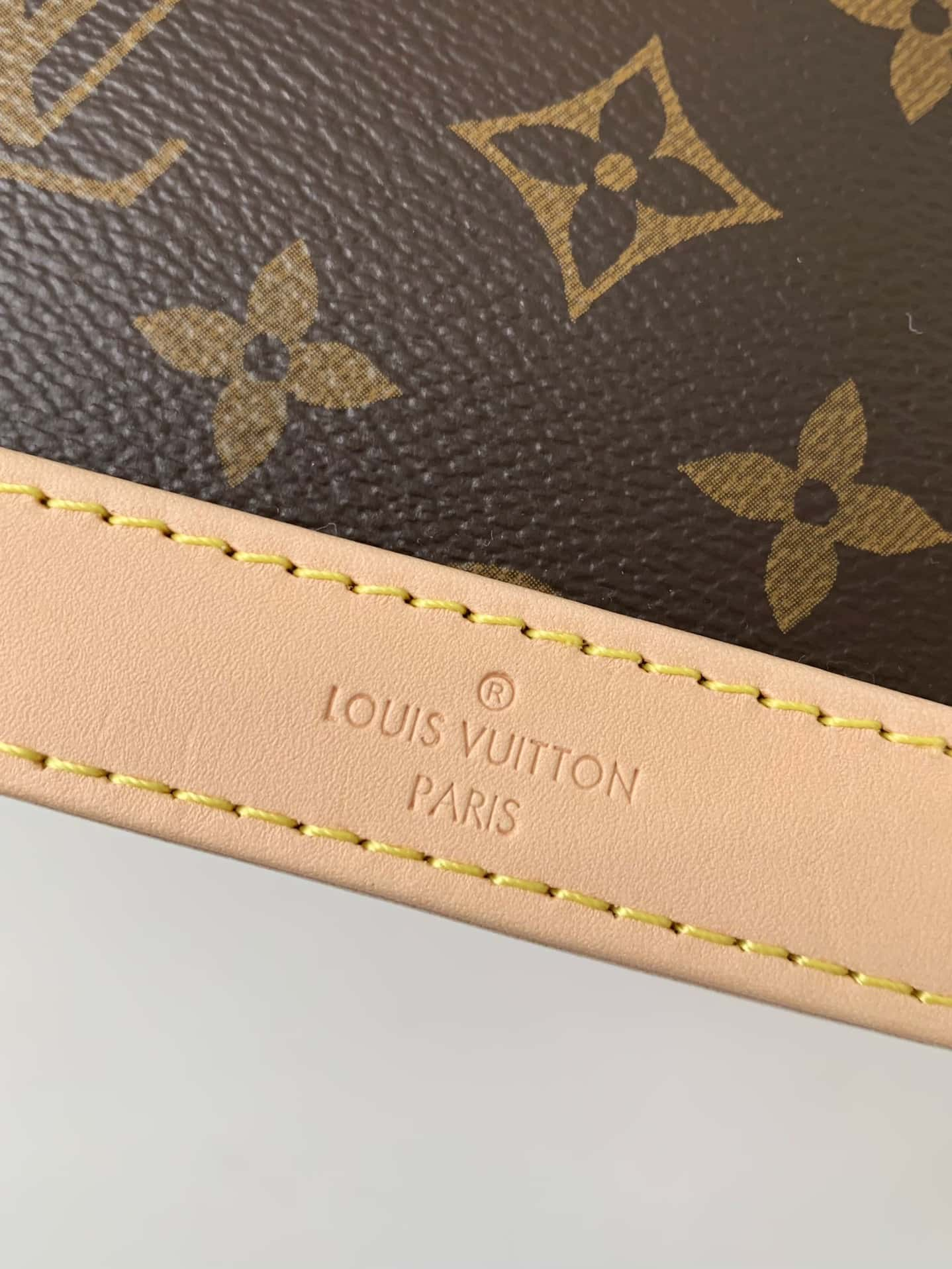 Louis Vuitton LV Alma Handbag