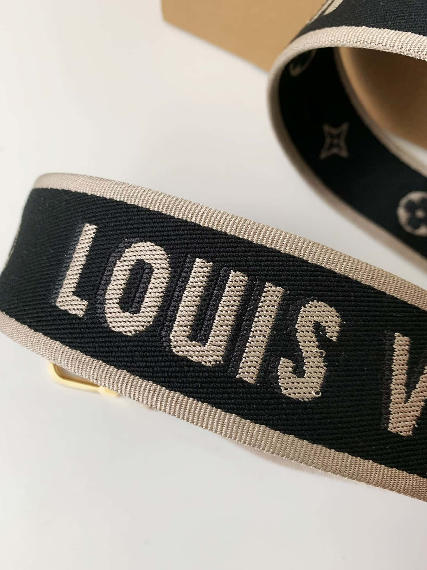 Louis Vuitton LV Diane Handbag